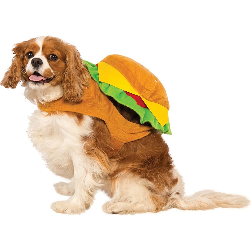 XL hamburger costume for dog